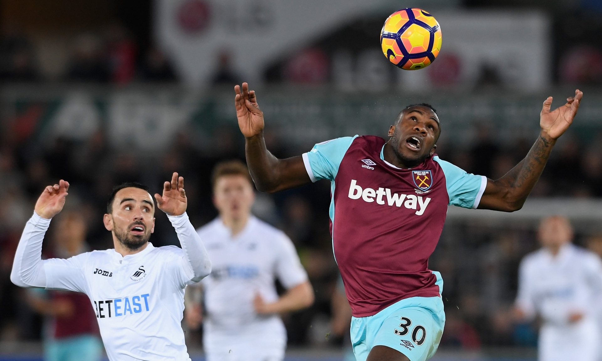 而忽视了其 而忽视了其